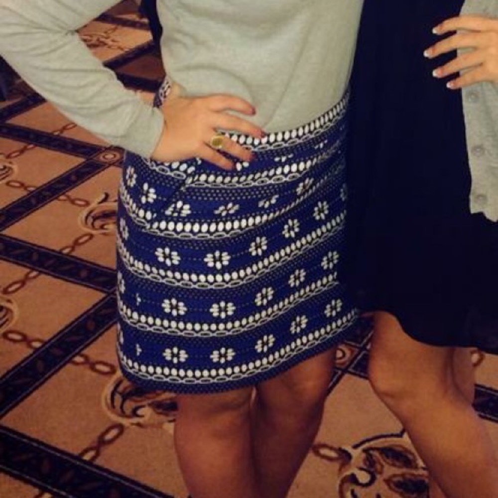 J. Crew Embroidered Mini Skirt